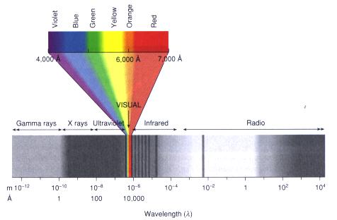 Which Part of the Electromagnetic Spectrum Has the Longest Wavelength