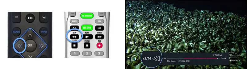 How to Fast Forward on Spectrum Remote