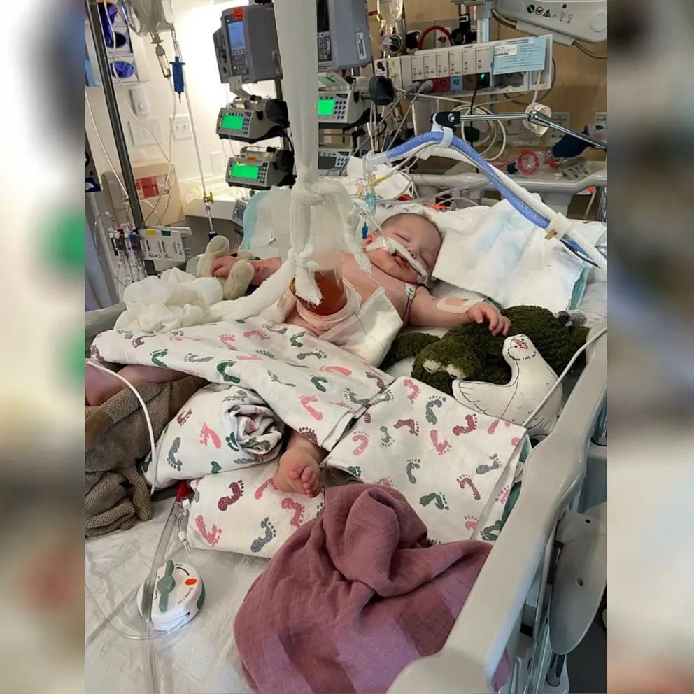 Is Paramount Plus Included With Spectrum Get The Inside Scoop 2025 is-paramount-plus-included-with-spectrum-get-the-inside-scoop-2025