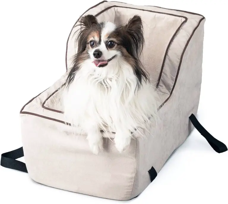 What Channel is Animal on on Spectrum Find Your Furry Fix! (2024)