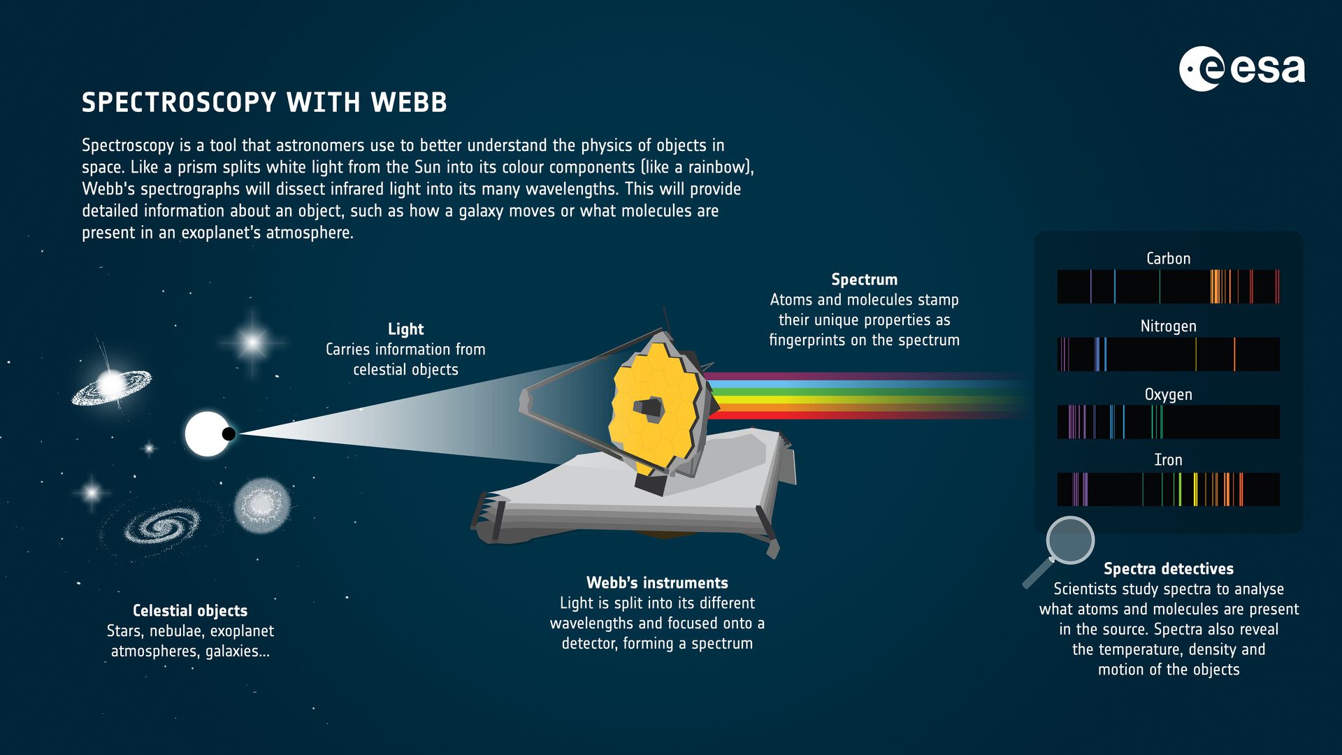 What Information Does a Star'S Spectrum Offer About the Star