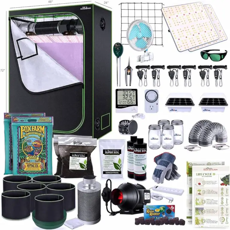 Why is Fox Not Working on Spectrum Troubleshooting Tips and Solutions